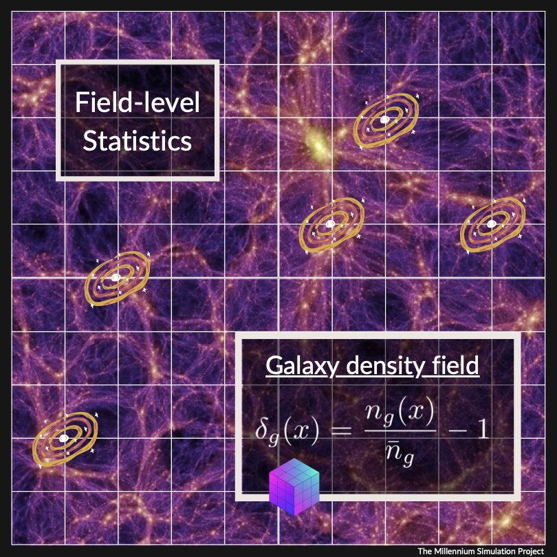 field-level: the galaxy density field